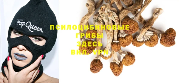 ALPHA-PVP Арсеньев