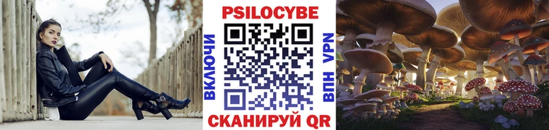 Галлюциногенные грибы мицелий  Купить закладки  Моздок 