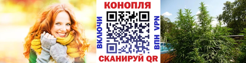 Бошки Шишки THC 21%  Купить  Моздок 